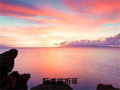 精选热门小说阮虞宋祈年，阮虞宋祈年无广告免费阅读