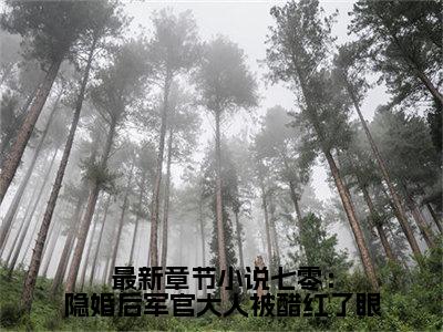 高赞小说七零：隐婚后军官大人被醋红了眼（ 魏昭昭季侑）完结阅读_ 魏昭昭季侑七零：隐婚后军官大人被醋红了眼免费看全文