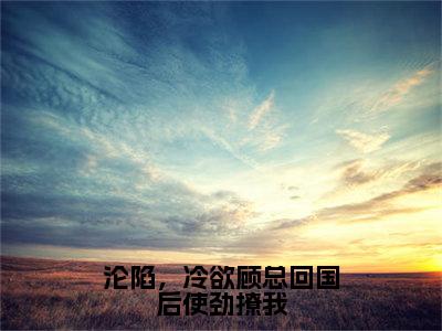 沦陷，冷欲顾总回国后使劲撩我（顾北承唐初晴）全文免费阅读最新章节大结局_沦陷，冷欲顾总回国后使劲撩我最新章节列表_笔趣阁