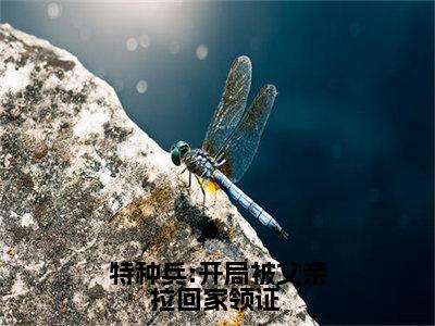 全章节完整《特种兵:开局被父亲拉回家领证 》全文阅读《 尤俊达陈军 》