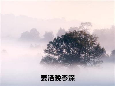 岑深姜洛晚多人推荐-好看的小说姜洛晚岑深完整版免费阅读