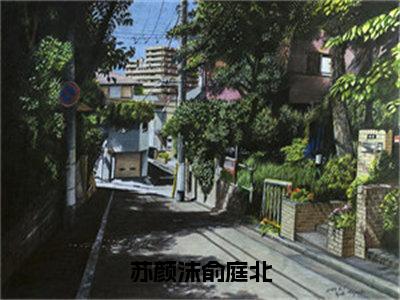 苏颜沫俞庭北（俞庭北苏颜沫）全文免费阅读无弹窗大结局_（俞庭北苏颜沫）最新章节