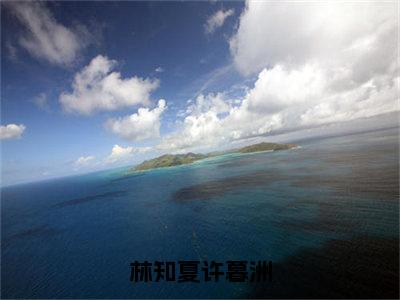 林知夏许暮洲（许暮洲林知夏）全文免费阅读-林知夏许暮洲（许暮洲林知夏）最新章节小说阅读