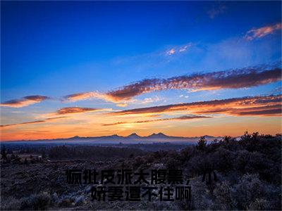 疯批反派太腹黑，小娇妻遭不住啊（师允夏秦楚炀）全文免费阅读无弹窗大结局_（疯批反派太腹黑，小娇妻遭不住啊全文免费阅读无弹窗）最新章节列表_笔趣阁