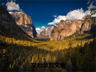 苏文承文心念（文心念苏文承）高质量小说推荐阅读-最新小说文心念苏文承全文阅读