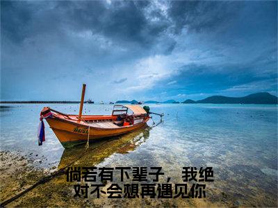 沈若云傅承安在线阅读（倘若有下辈子，我绝对不会想再<a href=