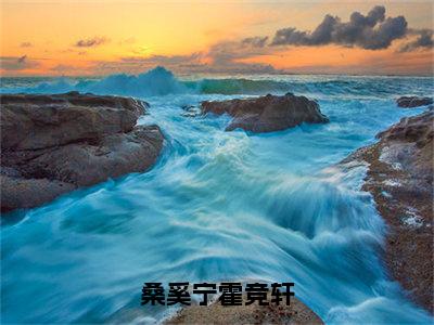 霍竞轩桑奚宁（桑奚宁霍竞轩）全文免费阅读无弹窗-桑奚宁霍竞轩完整版全文在线赏析