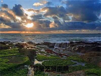 贺南枫苏星艺小说（苏星艺贺南枫）全文免费阅读无弹窗大结局_苏星艺贺南枫小说最新章节列表_笔趣阁（贺南枫苏星艺）