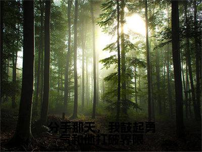 盛音顾恒之全文免费大结局-分手那天，我鼓起勇气和他打破界限结局在线阅读