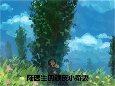 沈荔陆容衍（沈荔陆容衍）全文免费阅读无弹窗大结局_陆医生的顽皮小娇妻最新章节列表_笔趣阁（沈荔陆容衍）