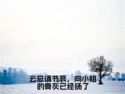 云总请节哀，向小姐的骨灰已经扬了（向晚云琰）全文免费阅读-（向晚云琰无弹窗阅读）最新章节小说免费阅读