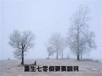 重生七零傻妻要翻身(苏星若韩扬)全文免费阅读无弹窗大结局_(重生七零傻妻要翻身免费阅读全文大结局)最新章节列表_笔趣阁（苏星若韩扬）