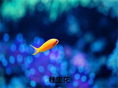 往生花（蒋沐阖牧浅茉小说）全文免费阅读无弹窗大结局_往生花全文免费阅读_笔趣阁