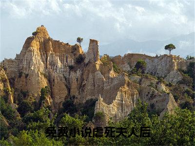 虐死夫人后，疯批薄少为天下办丧小说免费阅读  薄慕洲陈清河完整版全文大结局