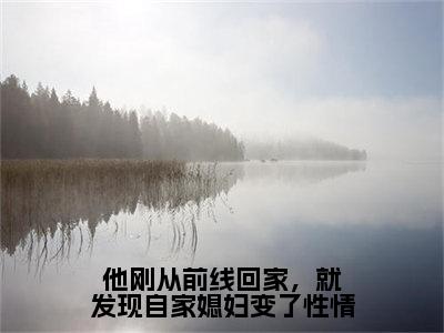 【新书】《顾之彰沈梨清》他刚从前线回家，就发现自家媳妇变了性情全文全章节免费阅读