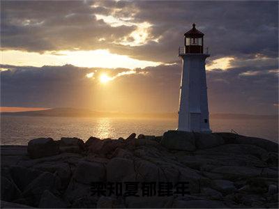 热门小说已完结郁肆年梁知夏小说无弹窗大结局_郁肆年梁知夏梁知夏郁肆年全文阅读大结局