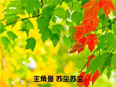 永恒为仙已完结小说全集阅读（ 苏尘苏尘完整版大结局）永恒为仙小说全文阅读笔趣阁