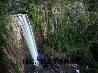 清芙玄辞（仙君，从此你我两不相欠）免费小说-仙君，从此你我两不相欠全文在线阅读