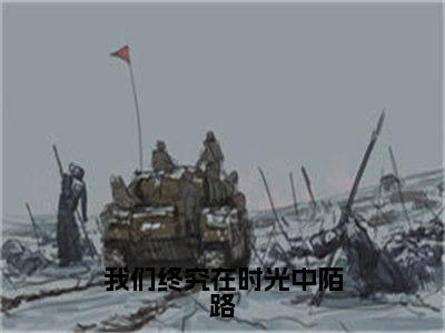 【完整版】（我们终究在时光中陌路小说谢婉茹沈晚琛）精彩小说全本资源免费阅读结局无删节_谢婉茹沈晚琛全章节阅读