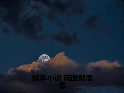  陆晚凝周然小说（你一个普通人，怎么总能偶遇罪犯？）全文在线阅读无弹窗大结局_（ 陆晚凝周然在线阅读无弹窗）最新章节列表_笔趣阁（你一个普通人，怎么总能偶遇罪犯？）