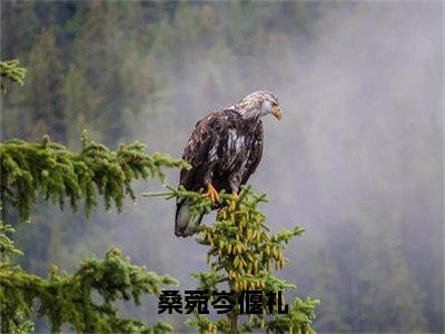 桑菀岑偃礼(岑偃礼桑菀)全文免费阅读大结局_(桑菀岑偃礼)岑偃礼桑菀免费在线阅读无删减_笔趣阁