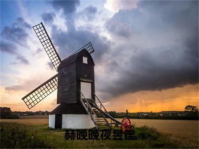 赫晚晚夜昱霆(夜昱霆赫晚晚)全文免费阅读无弹窗大结局_(夜昱霆赫晚晚免费阅读全文大结局)最新章节列表_笔趣阁（赫晚晚夜昱霆）