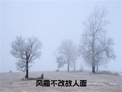 风霜不改故人面（长衡南芷）全文免费阅读无弹窗_风霜不改故人面最新小说_笔趣阁（长衡南芷）