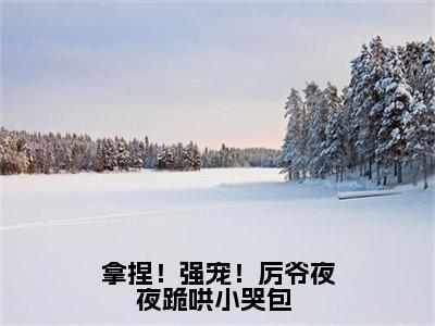 慕璃厉煌小说免费阅读全文（慕璃厉煌）全文免费阅读无弹窗大结局_拿捏！强宠！厉爷夜夜跪哄小哭包 最新章节列表_笔趣阁（慕璃厉煌）