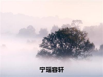 宁瑶容轩（容轩宁瑶）全文免费阅读无弹窗大结局_宁瑶容轩（容轩宁瑶）全文阅读_笔趣阁（宁瑶容轩）