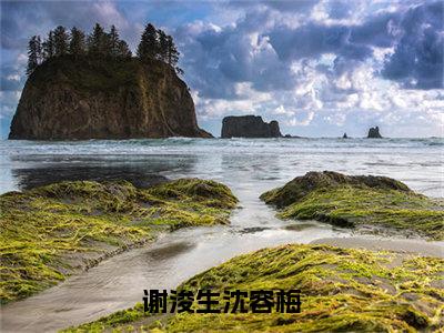 沈容梅谢浚生（谢浚生沈容梅）全文免费沈容梅谢浚生读无弹窗大结局_(沈容梅谢浚生：谢浚生沈容梅）免费沈容梅谢浚生读全文最新章节列表_笔趣阁（沈容梅谢浚生）