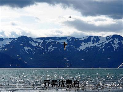 乔希沈昱白是什么小说-沈昱白乔希免费小说在线阅读