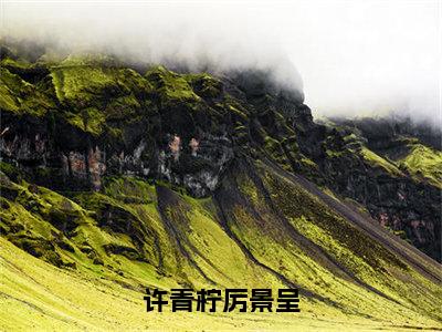 许青柠厉景呈(厉景呈许青柠)小说精彩免费内容_许青柠厉景呈厉景呈许青柠最新章节全文阅读（厉景呈许青柠）