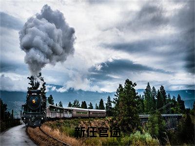  王子枫袁雯洁小说免费下载阅读_(新任官途，我成了市长红人小说) 王子枫袁雯洁最新章节列表_笔趣阁（新任官途，我成了市长红人小说）