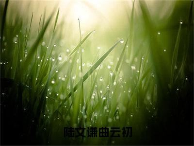 陆文谦曲云初小说（曲云初）全文免费阅读无弹窗大结局_陆文谦曲云初小说免费阅读_笔趣阁（曲云初小说）