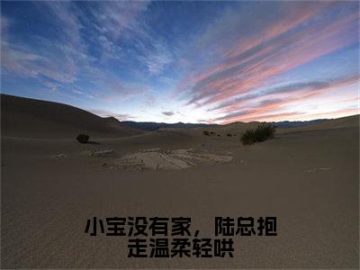 小宝没有家，陆总抱走温柔轻哄（陆景淮苏瑾时）全文免费阅读无弹窗大结局_小宝没有家，陆总抱走温柔轻哄最新章节列表