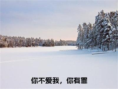 小说《你不爱我，你有罪》全文免费阅读无弹窗-你不爱我，你有罪（程渊沈千亦）小说全文在线赏析_笔趣阁