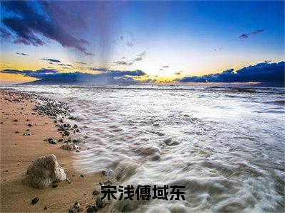 宋浅傅域东全文小说（傅域东宋浅）-完结版热文傅域东宋浅（宋浅傅域东）小说免费阅读