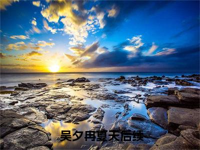 人在江湖，开局误入虎狼黑道 吴夕冉夏天全文免费阅读无弹窗大结局_ 吴夕冉夏天小说免费阅读