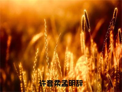 【新书】许音柔孟明辞全文全章节免费阅读-孟明辞许音柔 全文免费阅读无弹窗大结局