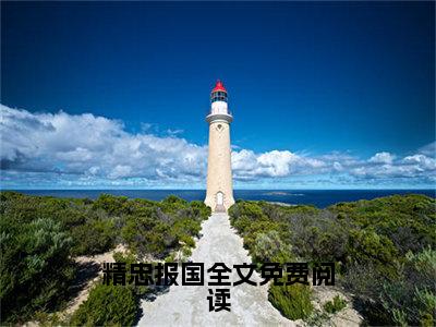 精忠报国在线阅读（ 岳扬岳小可）全文免费阅读大结局_精忠报国免费最新章节列表_笔趣阁