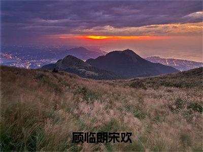 顾临朗宋欢（宋欢顾临朗）小说全文免费_顾临朗宋欢（宋欢顾临朗）最新章节目录笔趣阁（宋欢顾临朗）