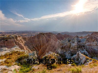 重生后，侯门夫人假死嫁权王小说全文免费阅读- 蔺云婉陆争流小说最新章节列表（重生后，侯门夫人假死嫁权王）