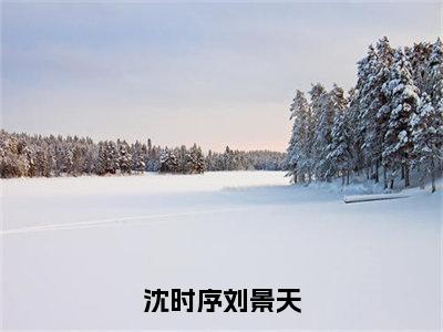 沈时序刘景天（刘景天沈时序）全文免费阅读无弹窗大结局_（沈时序刘景天全文免费阅读无弹窗）最新章节列表_笔趣阁