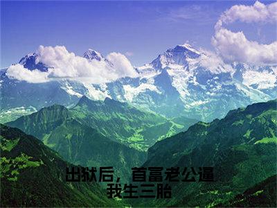 出狱后，首富老公逼我生三胎(宋欢傅辰年)全文免费阅读无弹窗大结局_（宋欢傅辰年）的小说（出狱后，首富老公逼我生三胎）最新章节列表