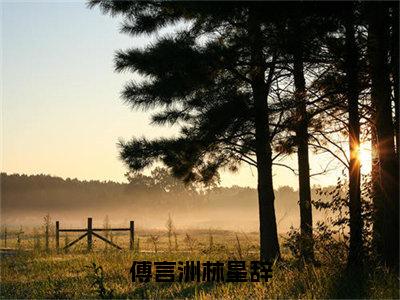 傅言洲林星辞（傅言洲林星辞）全文免费阅读_傅言洲林星辞正版小说全文阅读