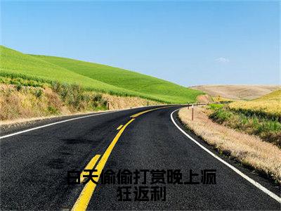 （热推新书）《白天偷偷打赏晚上疯狂返利》全文免费阅读最新章节大结局-范可情无弹窗阅读