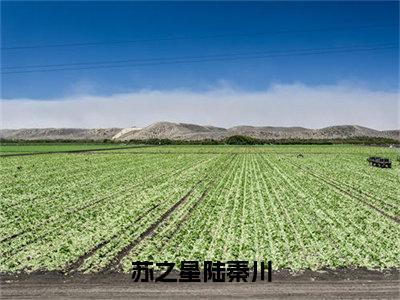 苏之星陆秦川（陆秦川苏之星）小说全文免费阅读正版无弹窗，苏之星陆秦川免费阅读