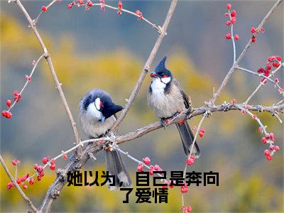 她以为，自己是奔向了<a href=