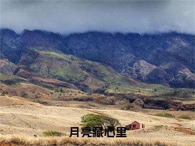 裴司念纪晏深月亮藏心里完结小说-月亮藏心里全文免费阅读无弹窗