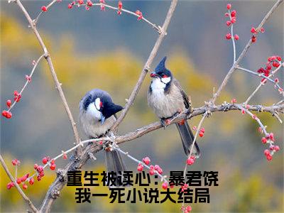 重生被读心：暴君饶我一死的小说全文免费阅读无弹窗, 晚晚大暴君的小说在线免费阅读大结局（ 晚晚大暴君）